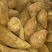 精品高原（雪莲果），产地直供，对接全国，可批发可一件代发