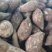 精品高原（雪莲果），产地直供，对接全国，可批发可一件代发