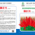 高辣簇生朝天椒干鲜两用春季麦茬早熟