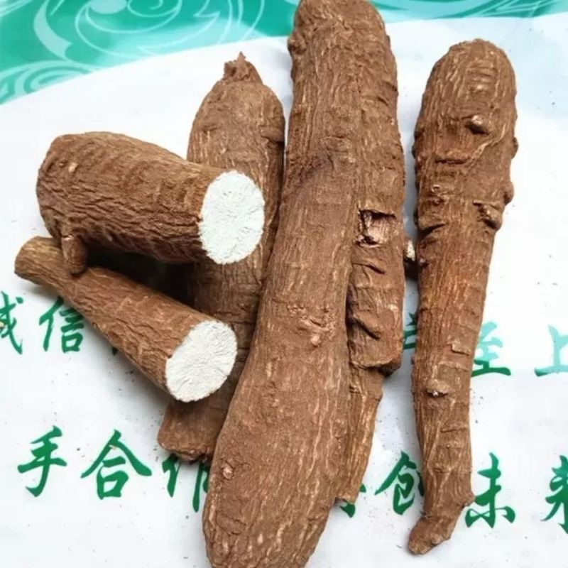 安徽白芷一手货源