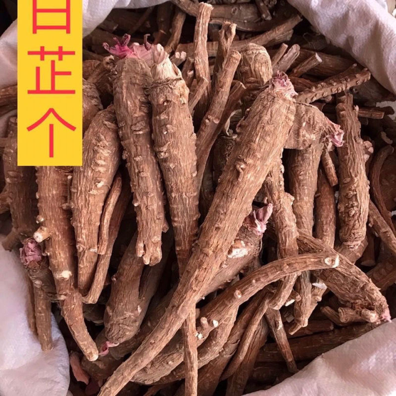 安徽白芷一手货源