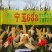 双国审宁玉688适应性强小亩产量2000斤，