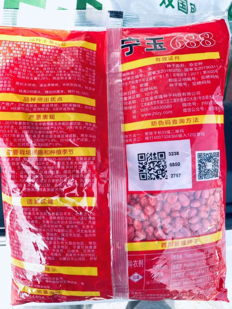 双国审宁玉688适应性强小亩产量2000斤，