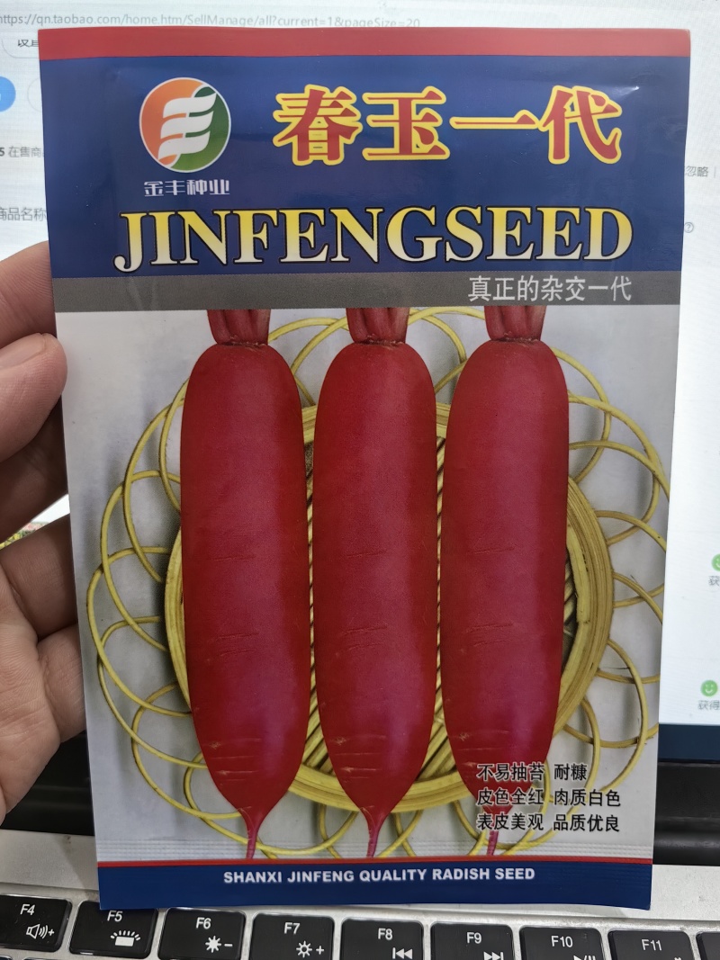 水萝卜种子春玉一号杂交红皮白肉萝卜种籽耐抽耐糠春秋蔬菜种