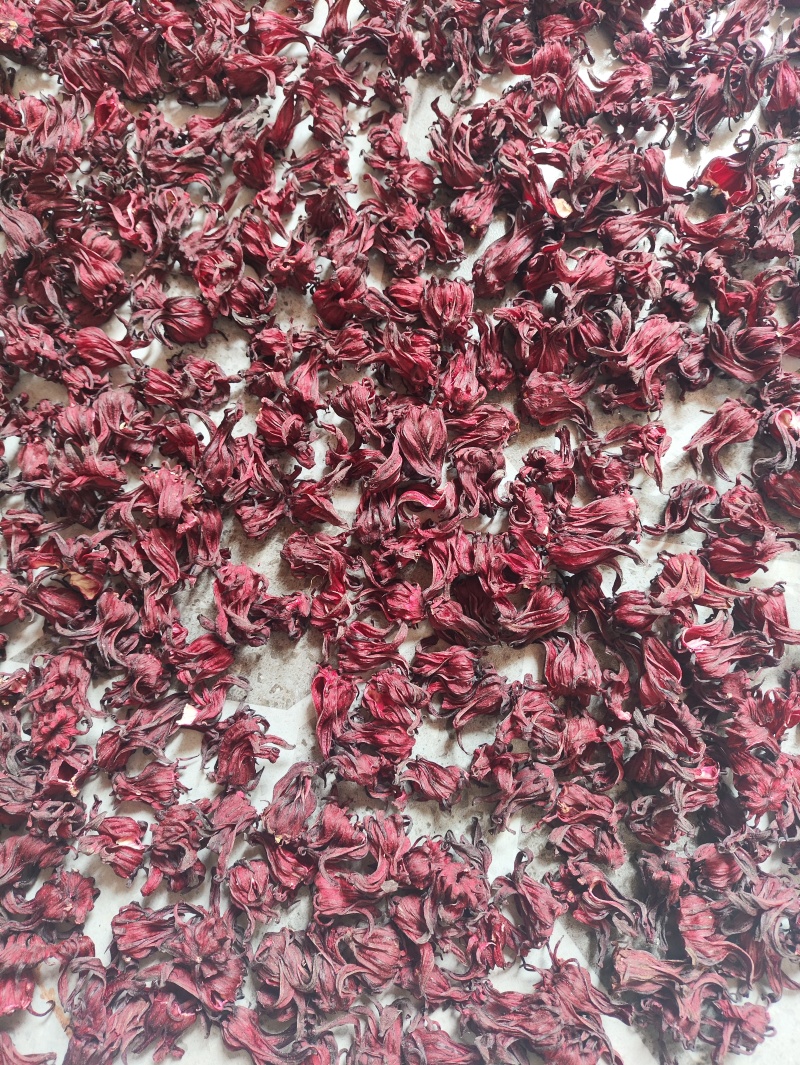 新鲜太阳晒干的洛神花，玫瑰茄质量保证，需要的老板联系我