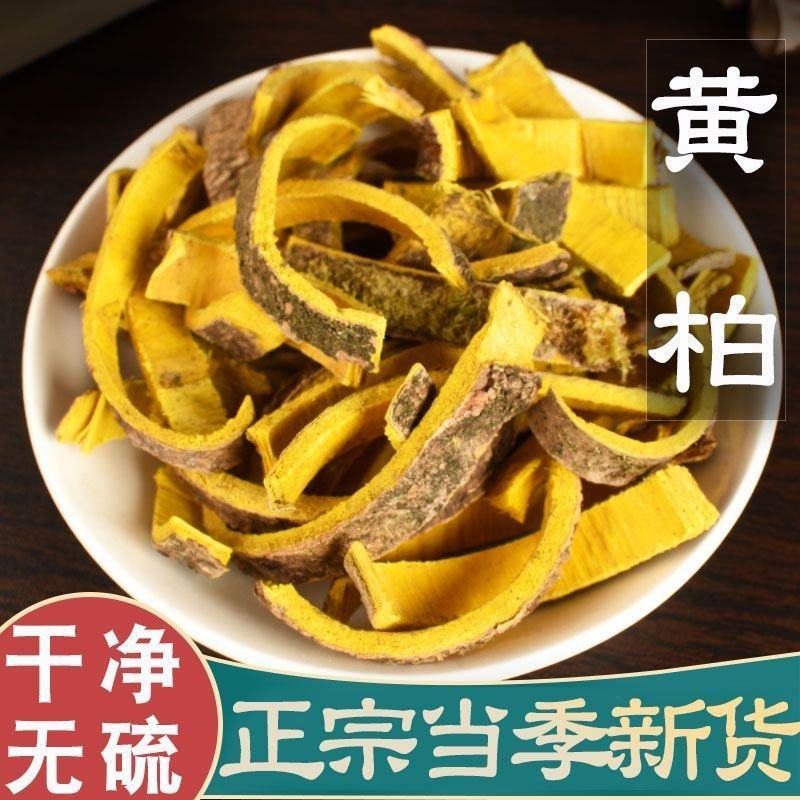 全国供应黄柏长期稳定营养满满健康必备