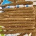 陕西榆林靖边白玉山药大量上市可接受预订欢迎随时电话联系
