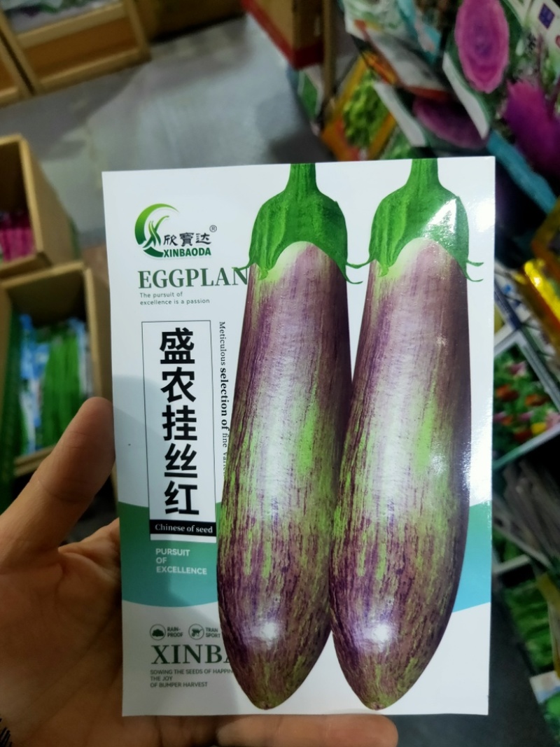 挂丝红长茄种子茄子种子农家庭院种植蔬菜种子