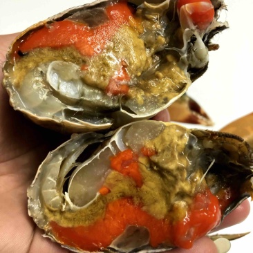膏蟹