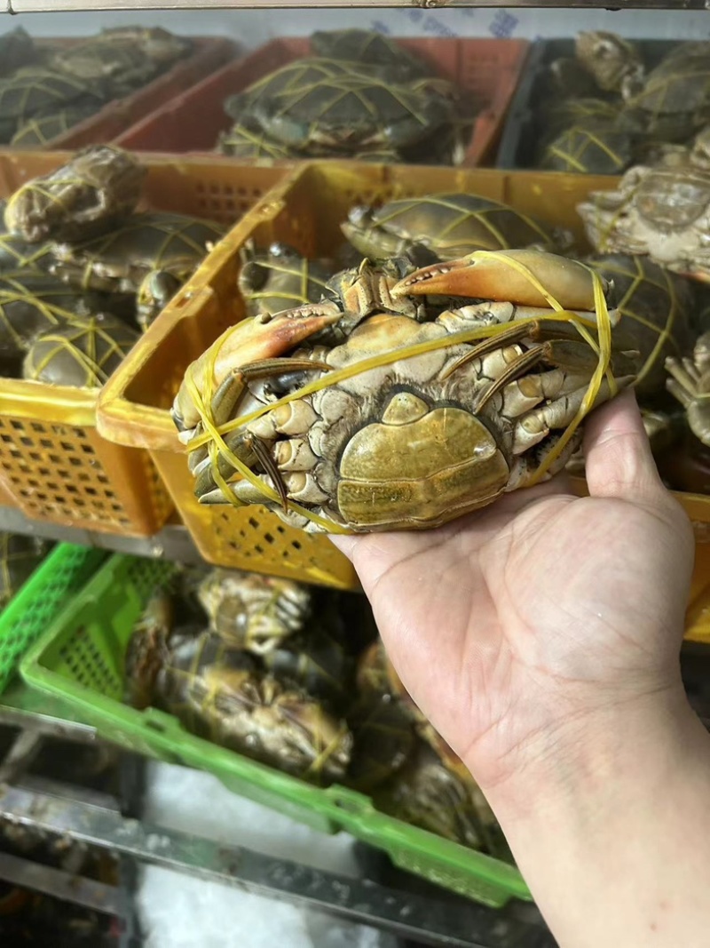 膏蟹