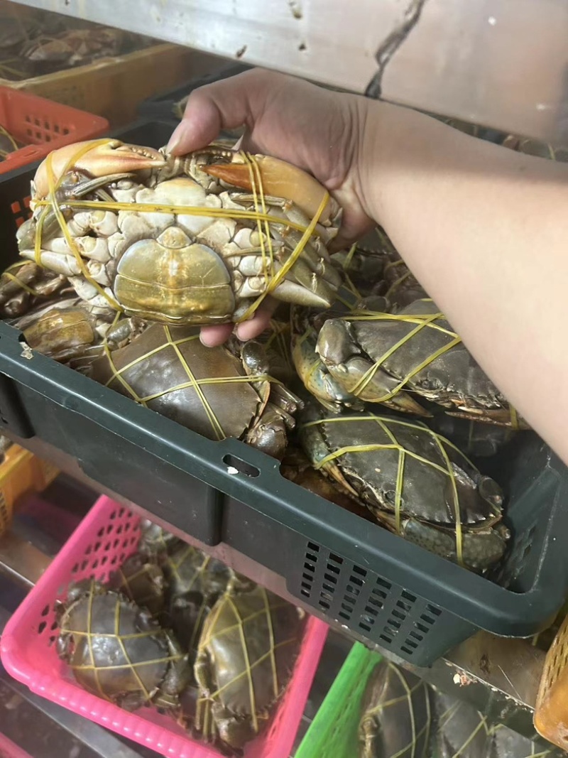 膏蟹