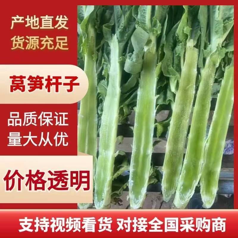 【产地直发】优选莴笋对接电商，市场，商超，量大从优