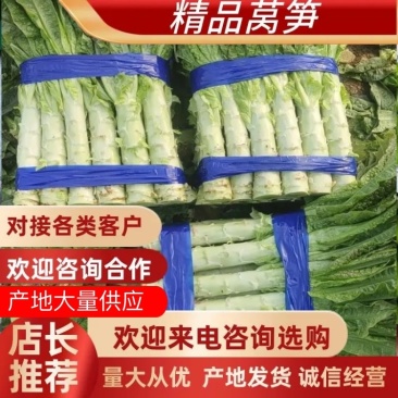 【产地直发】优选莴笋对接电商，市场，商超，量大从优