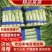 【产地直发】优选莴笋对接电商，市场，商超，量大从优