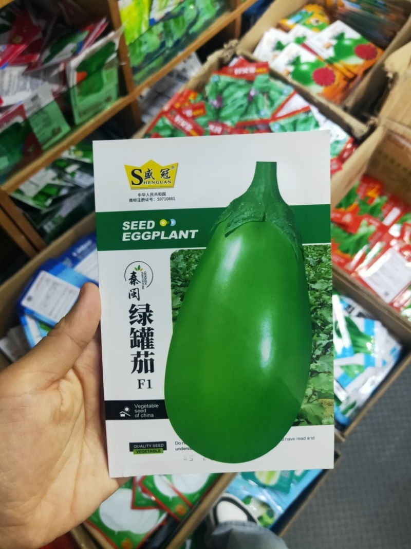 绿茄子种子早熟春秋绿皮油亮绿罐茄种子果色深绿