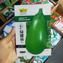 绿茄子种子早熟春秋绿皮油亮绿罐茄种子果色深绿