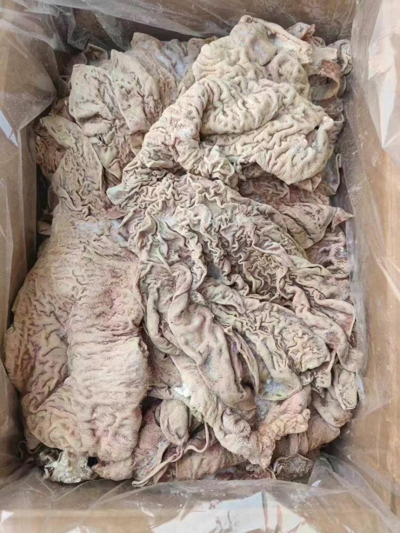 丰源牛伞袋牛副产品厂家直销质量保证量大优惠