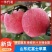 【一件代发】红富士苹果/山东发货/供应电商/欢迎来电咨询