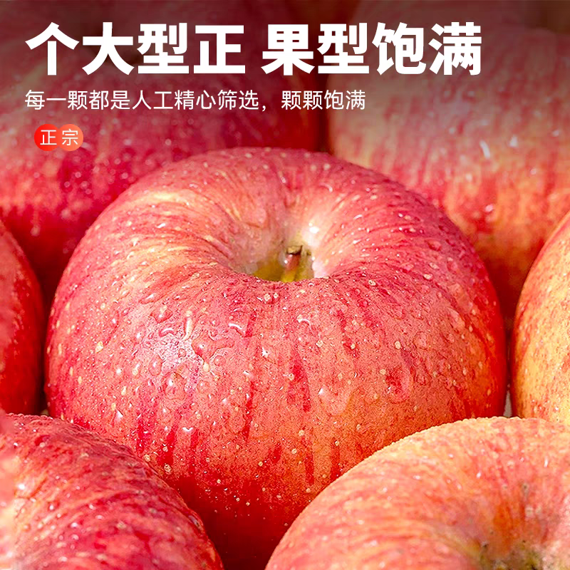 【一件代发】红富士苹果/山东发货/供应电商/欢迎来电咨询