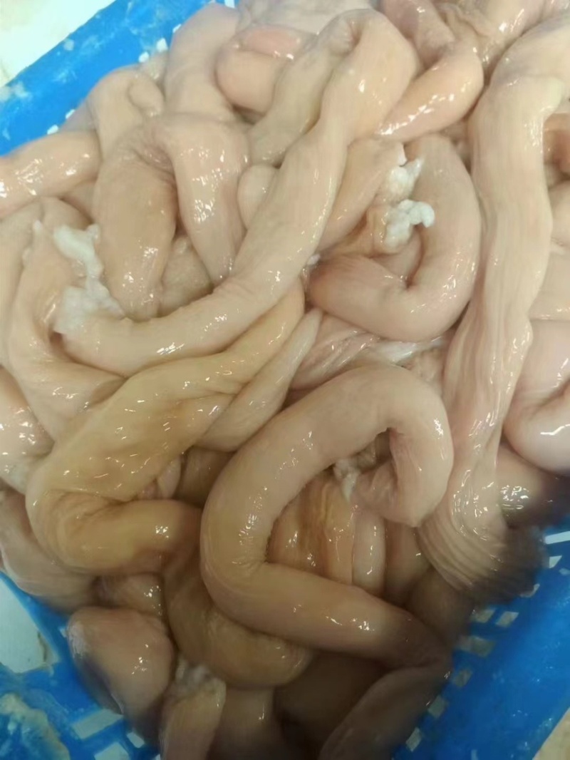 丰源牛圆肠，厂家直销，价格美丽，欢迎各位老板咨询。