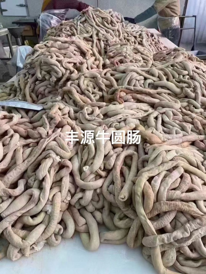 丰源牛圆肠，厂家直销，价格美丽，欢迎各位老板咨询。