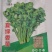 夏绿香菜种子，耐高温，香味浓郁，品质优良