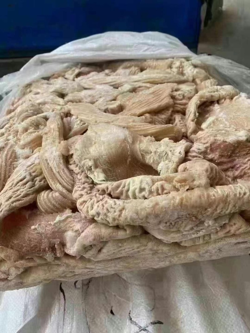 丰源牛大肠价格美丽质量保证厂家直销欢迎老板咨询