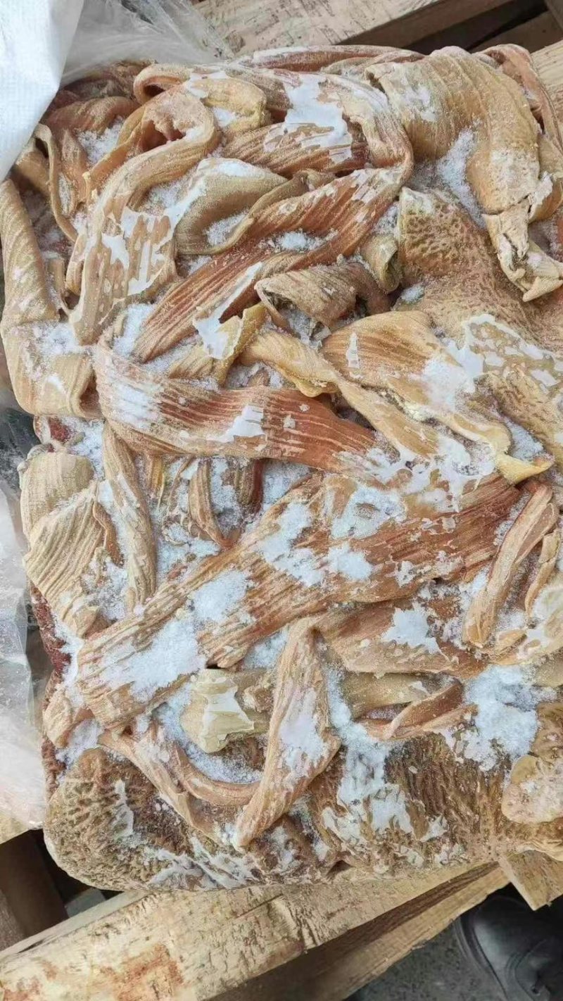 丰源牛大肠价格美丽质量保证厂家直销欢迎老板咨询