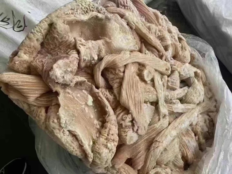 丰源牛大肠价格美丽质量保证厂家直销欢迎老板咨询