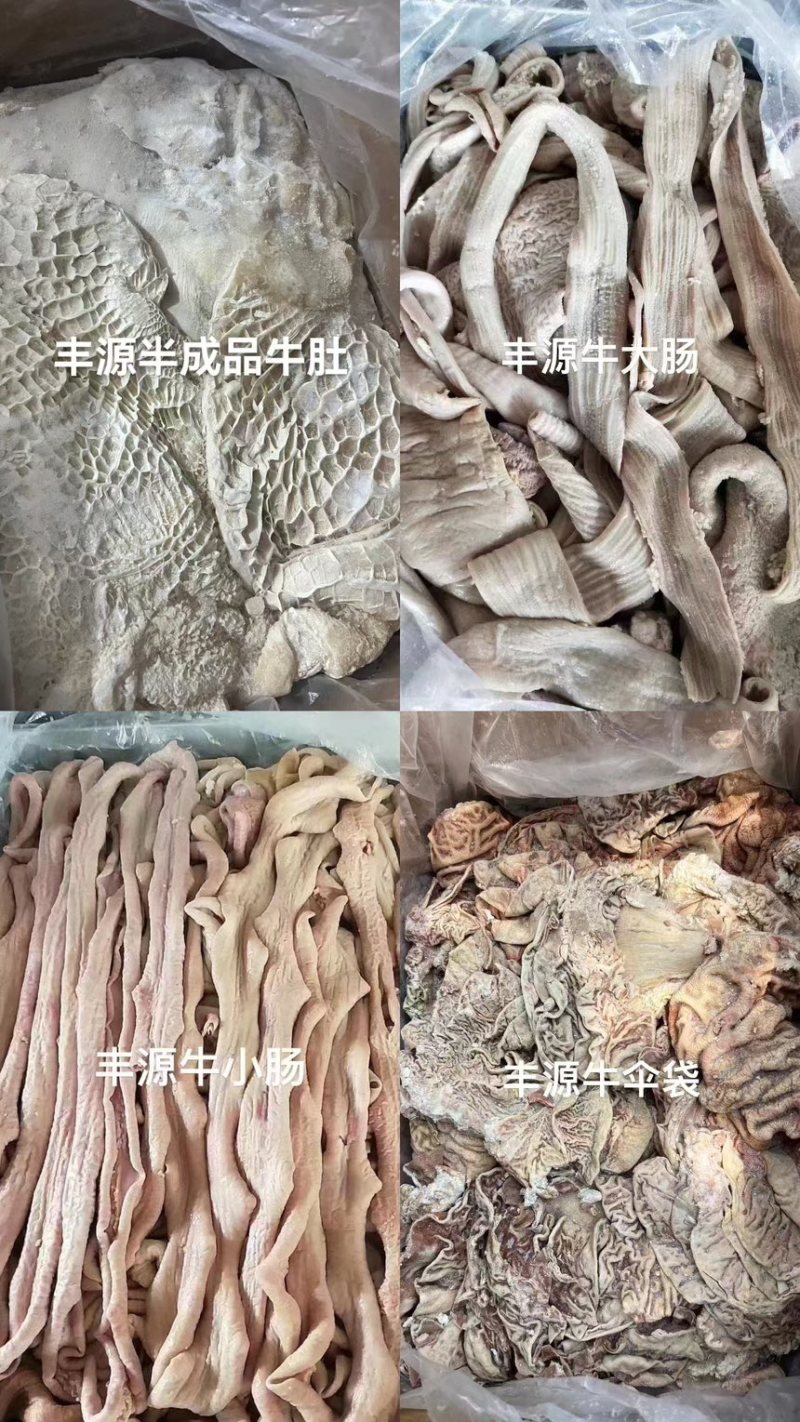 丰源牛大肠价格美丽质量保证厂家直销欢迎老板咨询