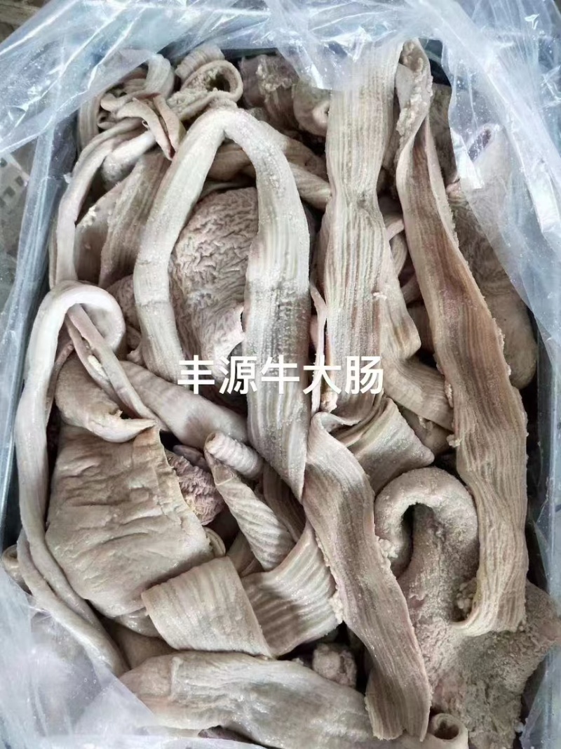 丰源牛大肠价格美丽质量保证厂家直销欢迎老板咨询