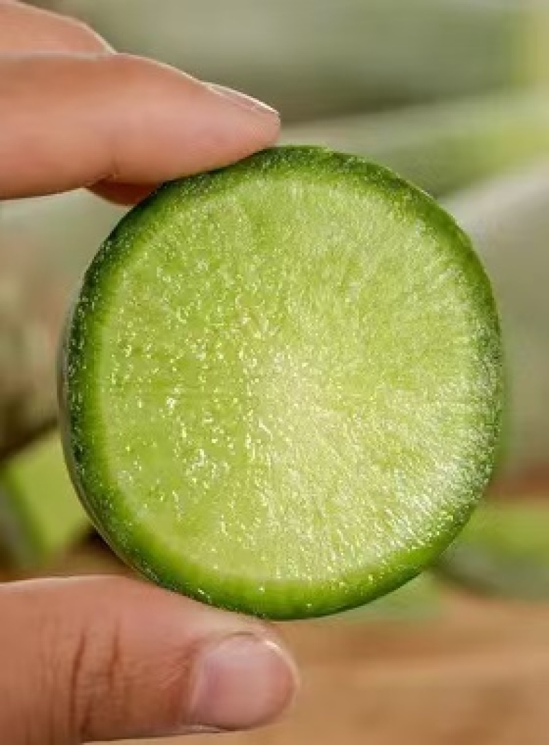 潍坊水果萝卜青萝卜口感清脆产地货源量大质优