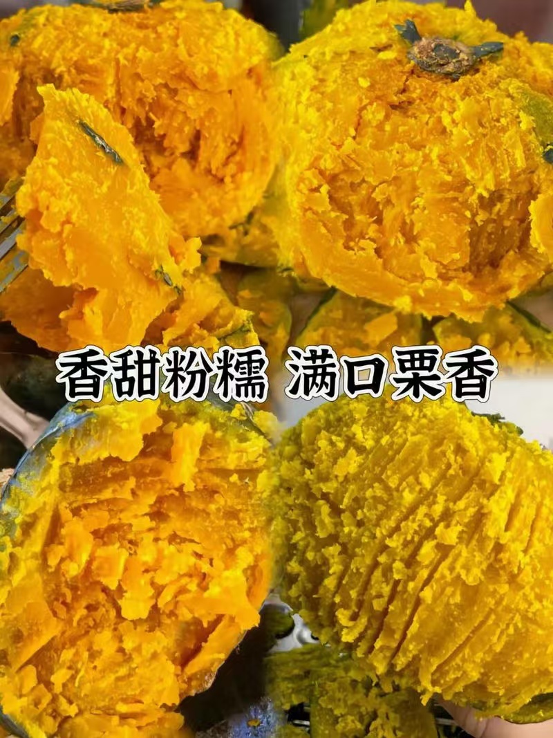 内蒙武川贝贝南瓜