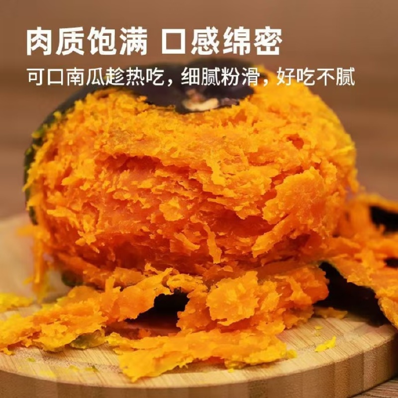 内蒙武川贝贝南瓜