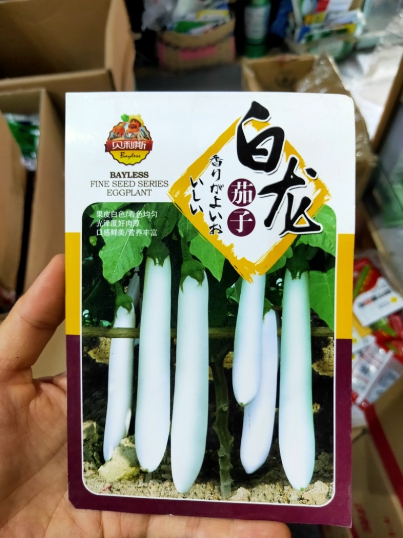 白茄种子中早熟果实长棒形果皮果肉白色口感绵软田园盆栽