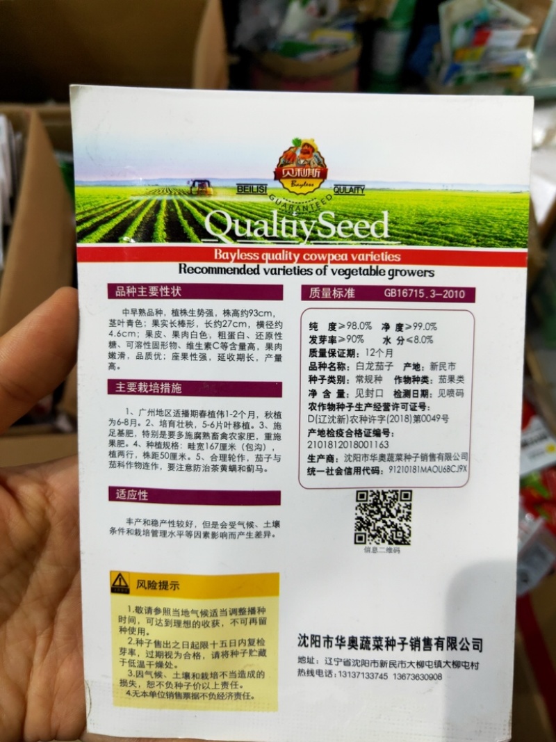 白茄种子中早熟果实长棒形果皮果肉白色口感绵软田园盆栽