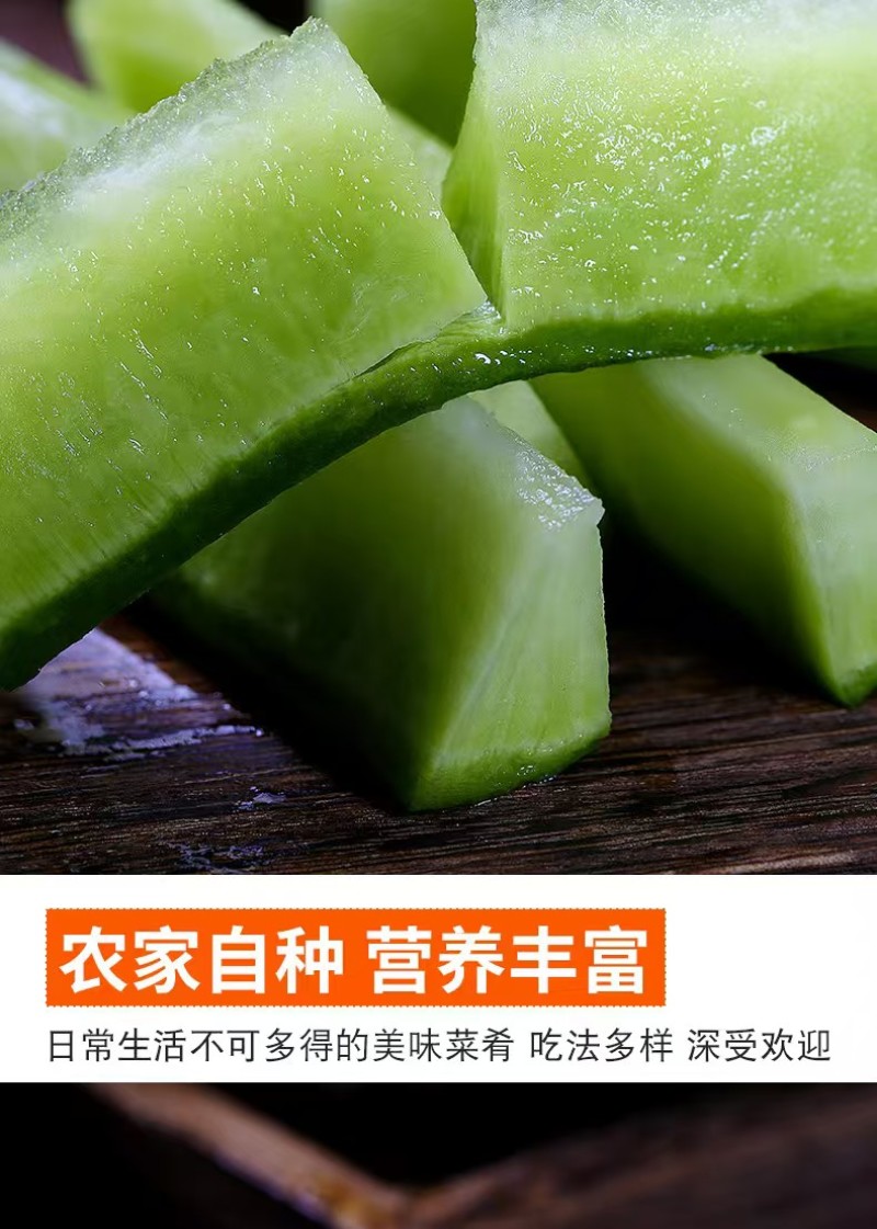 山东潍坊水果萝卜青萝卜可一件发货清香脆爽质量保证