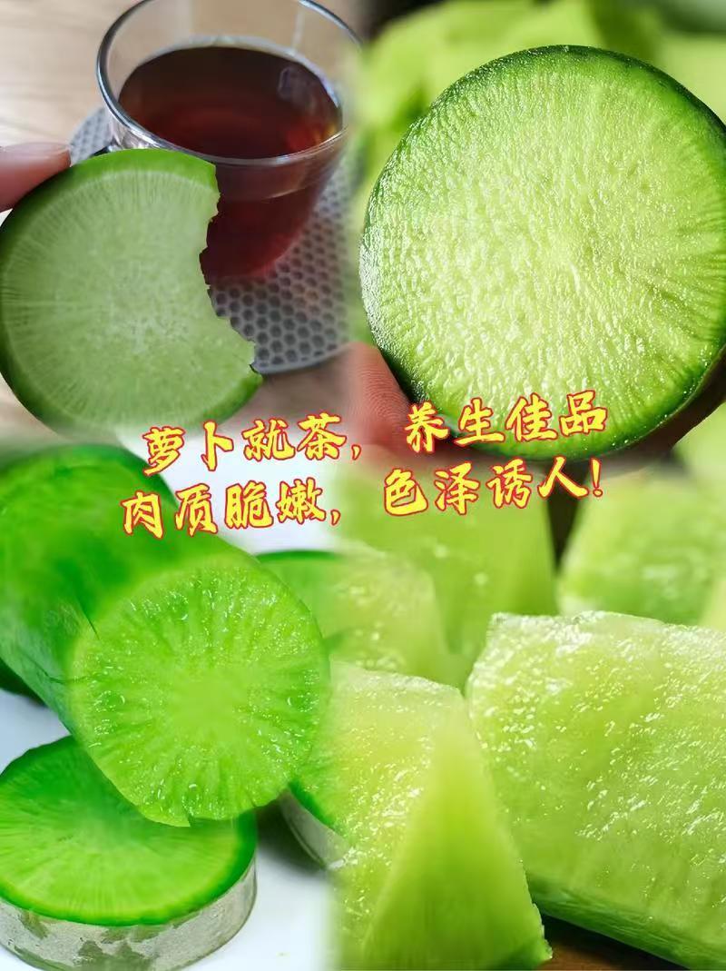 山东潍坊水果萝卜青萝卜可一件发货清香脆爽质量保证