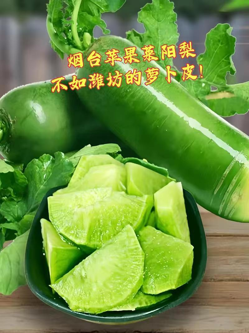 山东潍坊水果萝卜青萝卜可一件发货清香脆爽质量保证