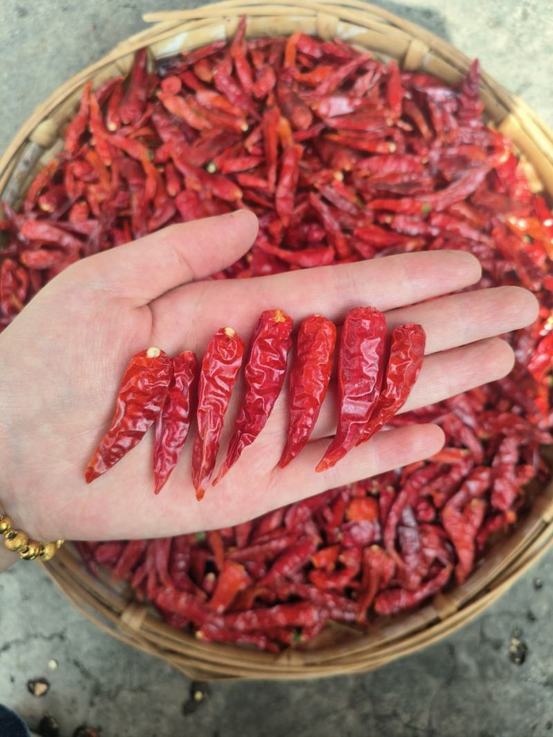 【热卖】云南干小米辣/椒中玉/越南小米辣/辣椒王小个