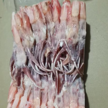二级鸭舌大量有货