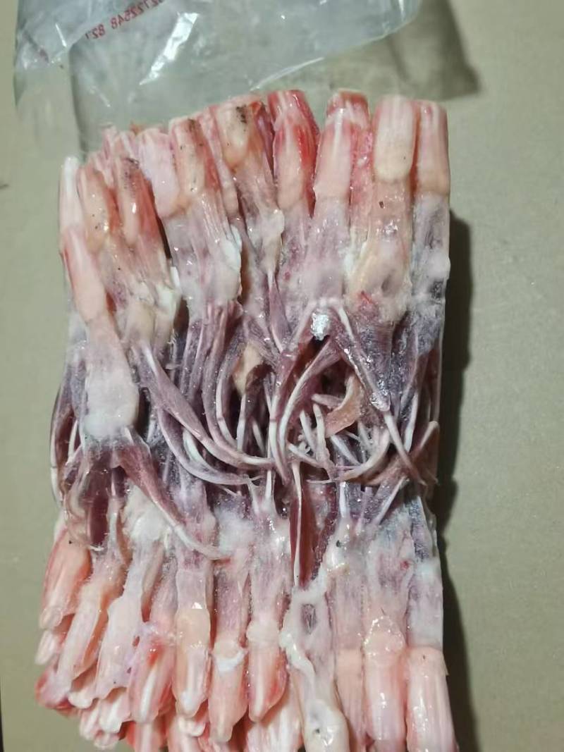 二级鸭舌大量有货