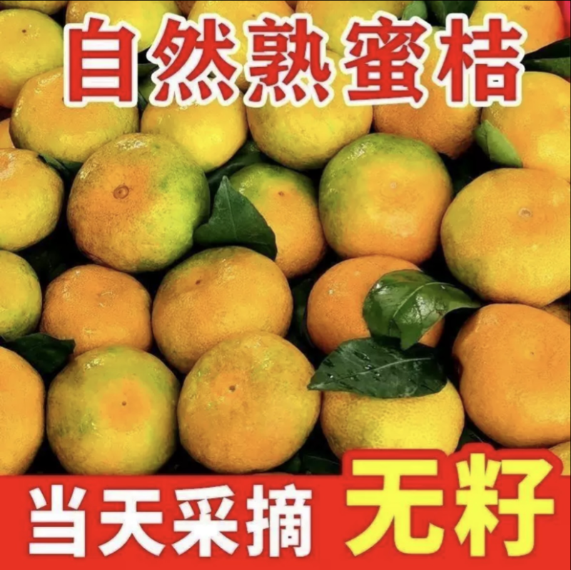 汉中叶橘，入口化渣，皮薄，糖分高，规格划分分明