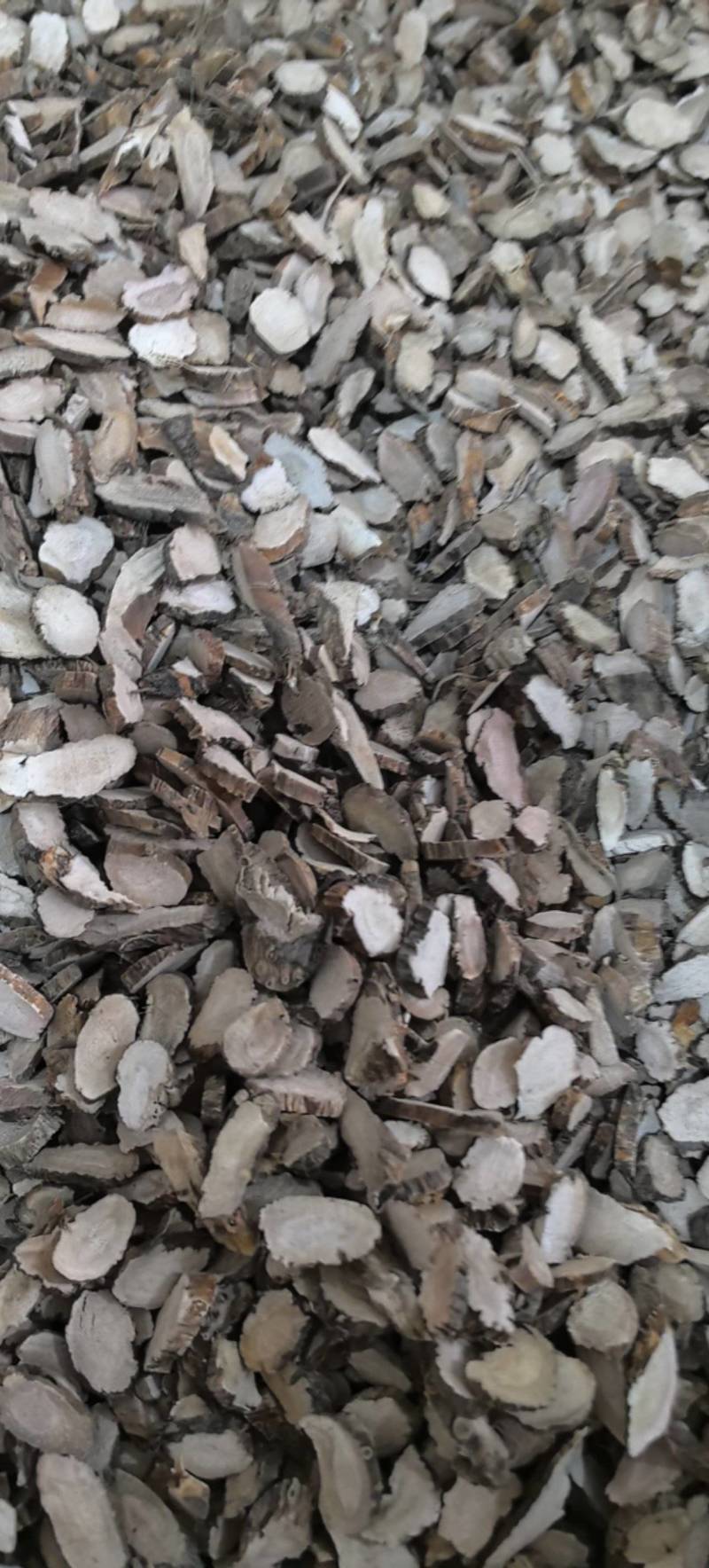 小片水菖蒲片今年新货颜色好万信药业只做保真药材