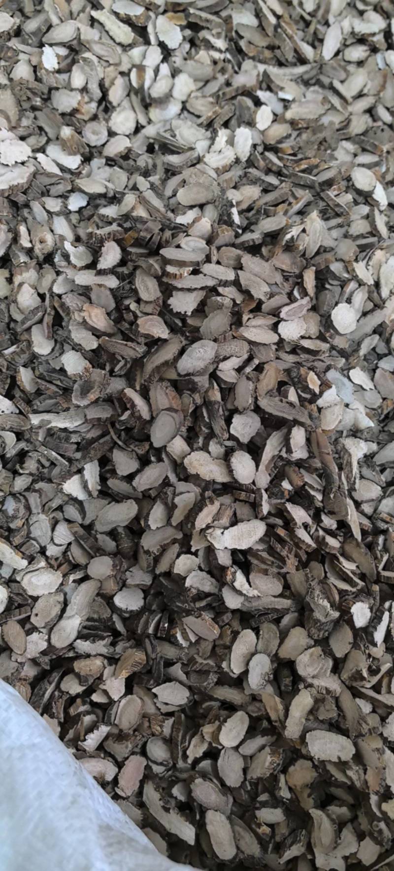 小片水菖蒲片今年新货颜色好万信药业只做保真药材