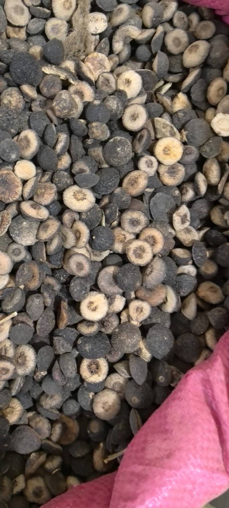 鹅眼枳实江西枳实地道药材万信药业只做保真药材