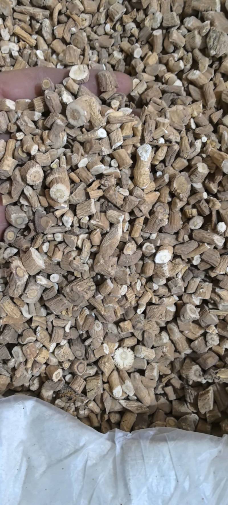 板蓝根片无硫板蓝根新货万信药业只做保真药材