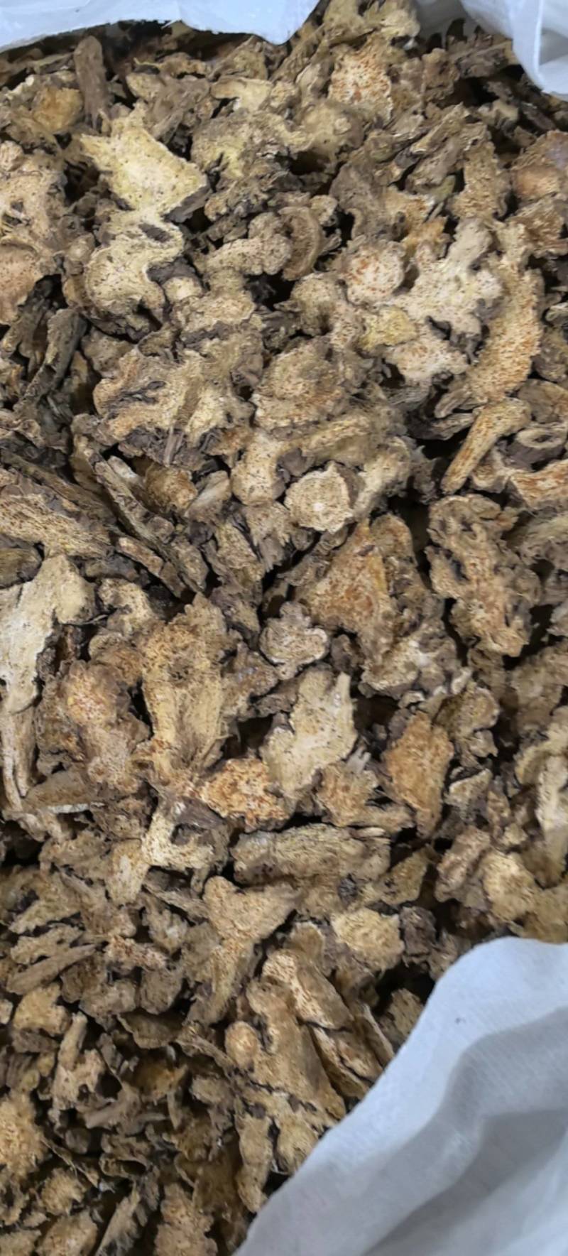 野生苍术片朱砂点**气味浓郁万信药业只做保真药材