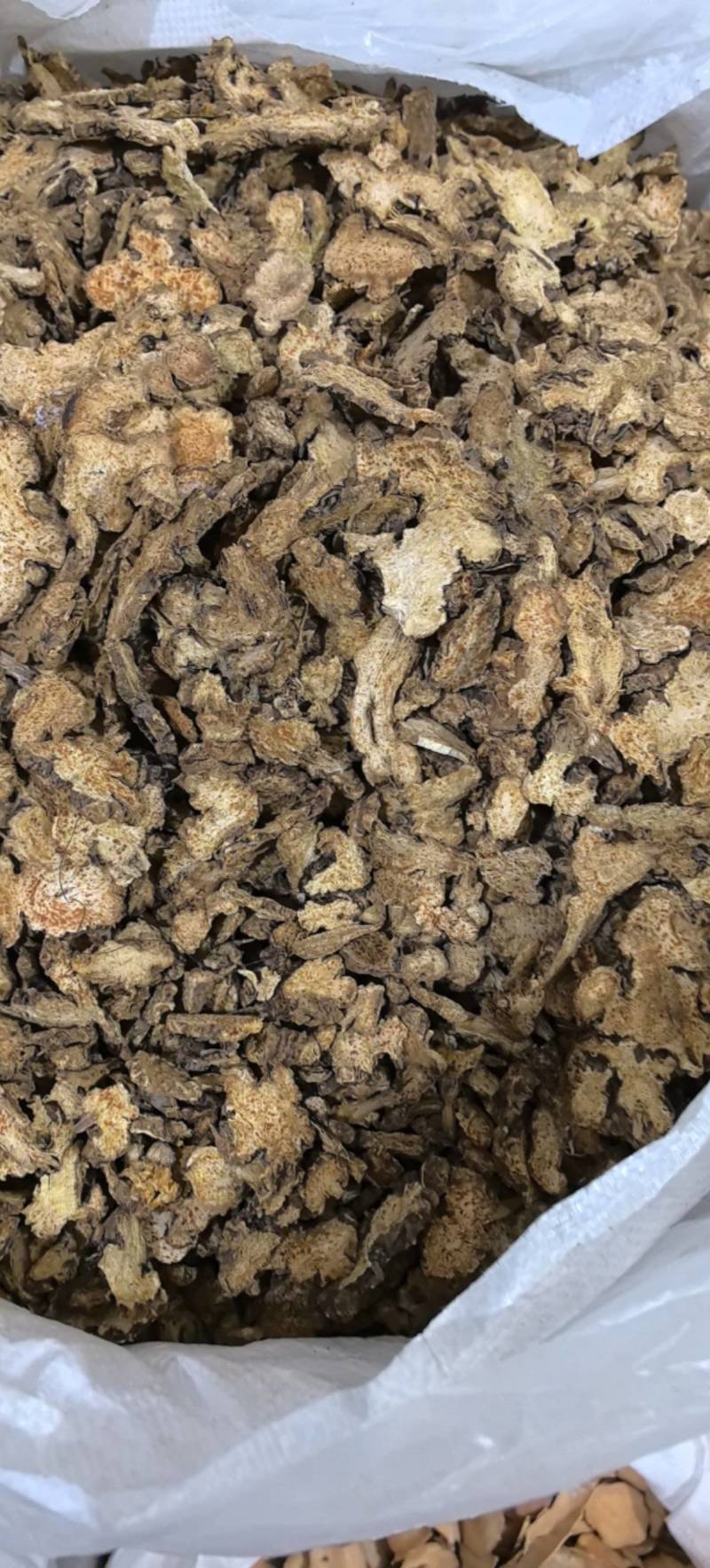 野生苍术片朱砂点**气味浓郁万信药业只做保真药材