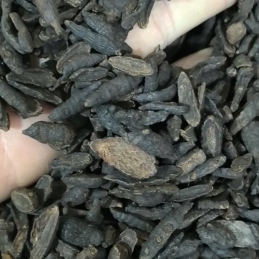 醋制香附片炒香附片万信药业只做保真药材